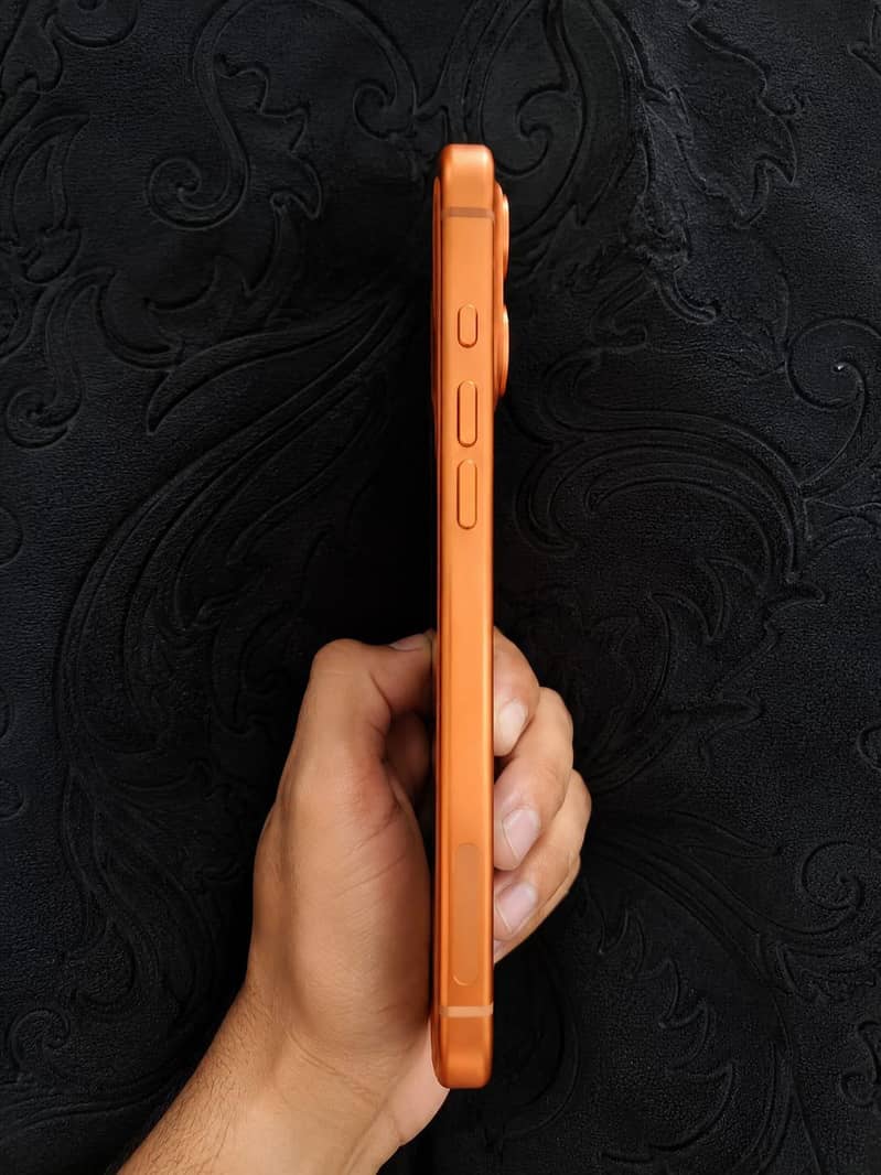 Apple iPhone 17 Pro Max 3