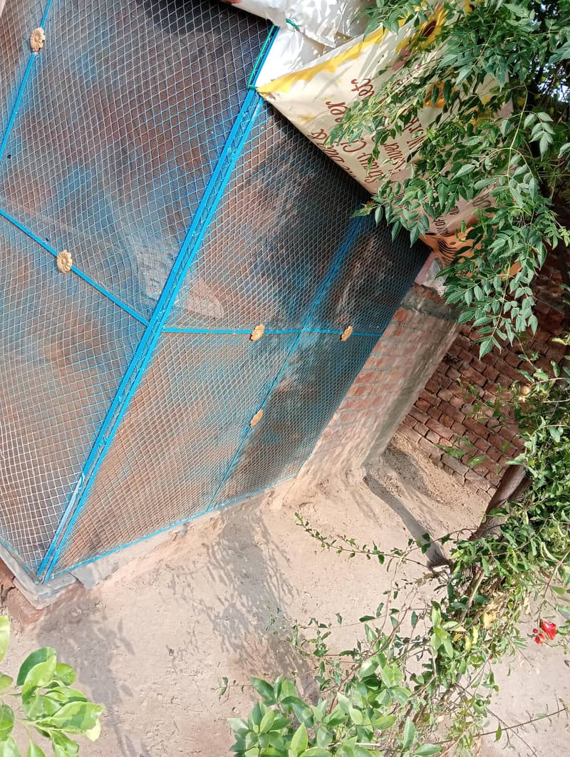 cage jhal 0
