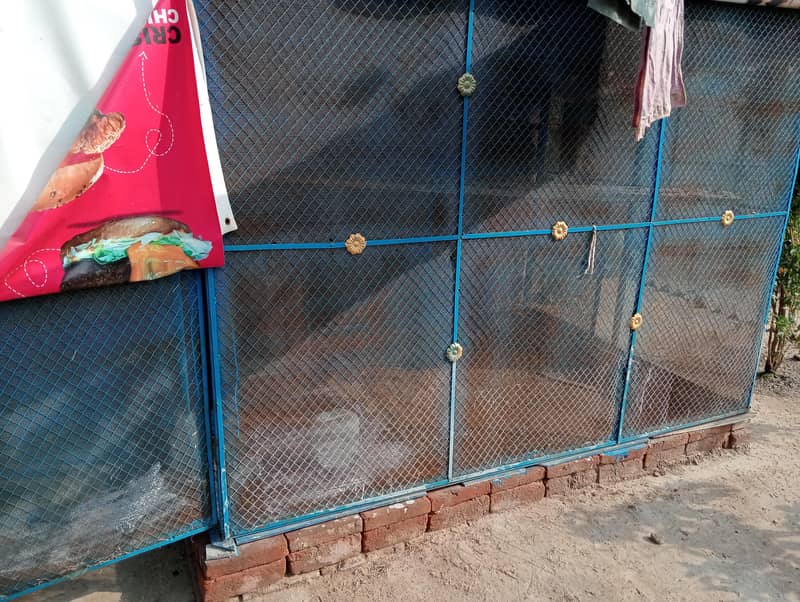 cage jhal 1