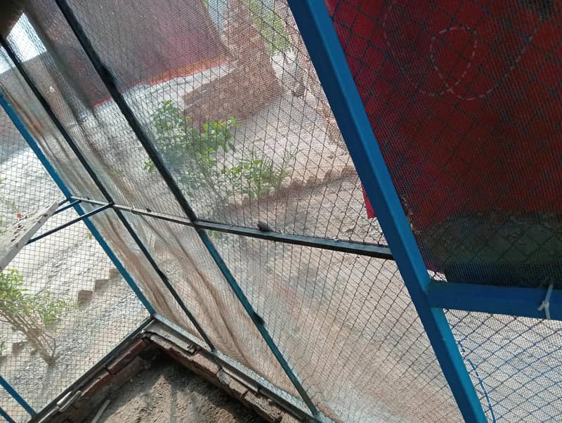 cage jhal 2