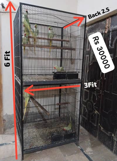 Raw parrot K lie big dual porshion Cage