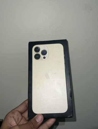 Apple iPhone 13 Pro Max