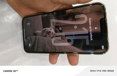 Apple iPhone 13 Pro