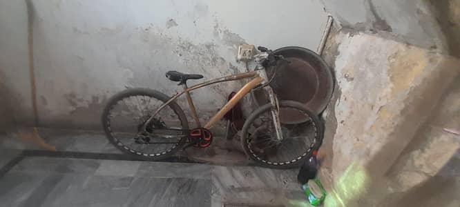 speed wheeling cycle