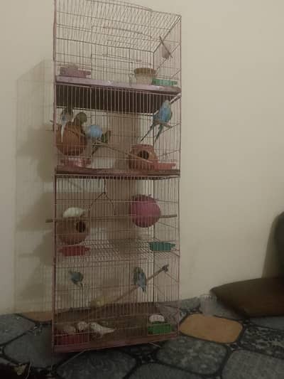 I am selling my cage and parrots