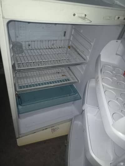 waves frige