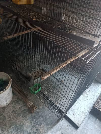 folding cages