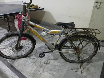 caspin cycle