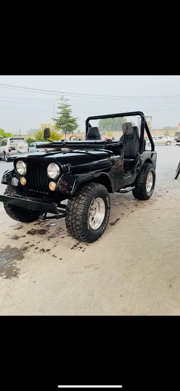 Urgent sale American Willy