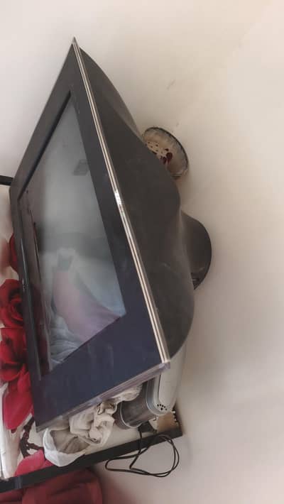 Television