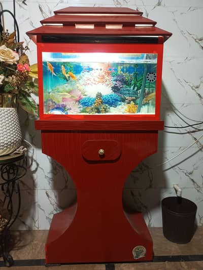 Fish equirium with fishes