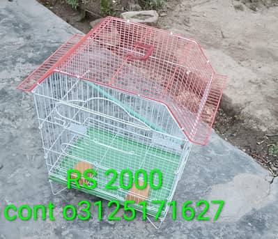 birds cage