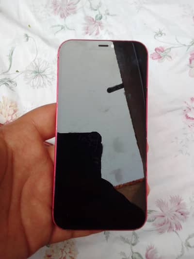 Apple iPhone 12