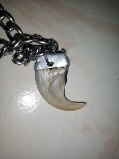 Lion claws  orignal 