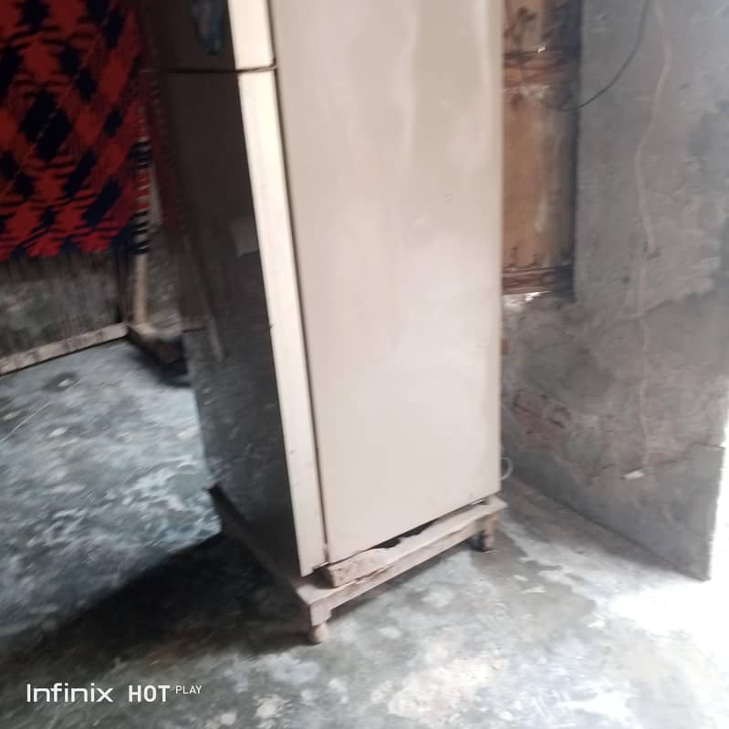 فرج فار شیر 1