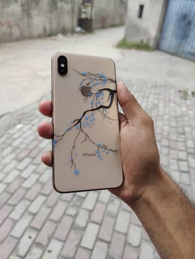iPhone xs maxx 256gb