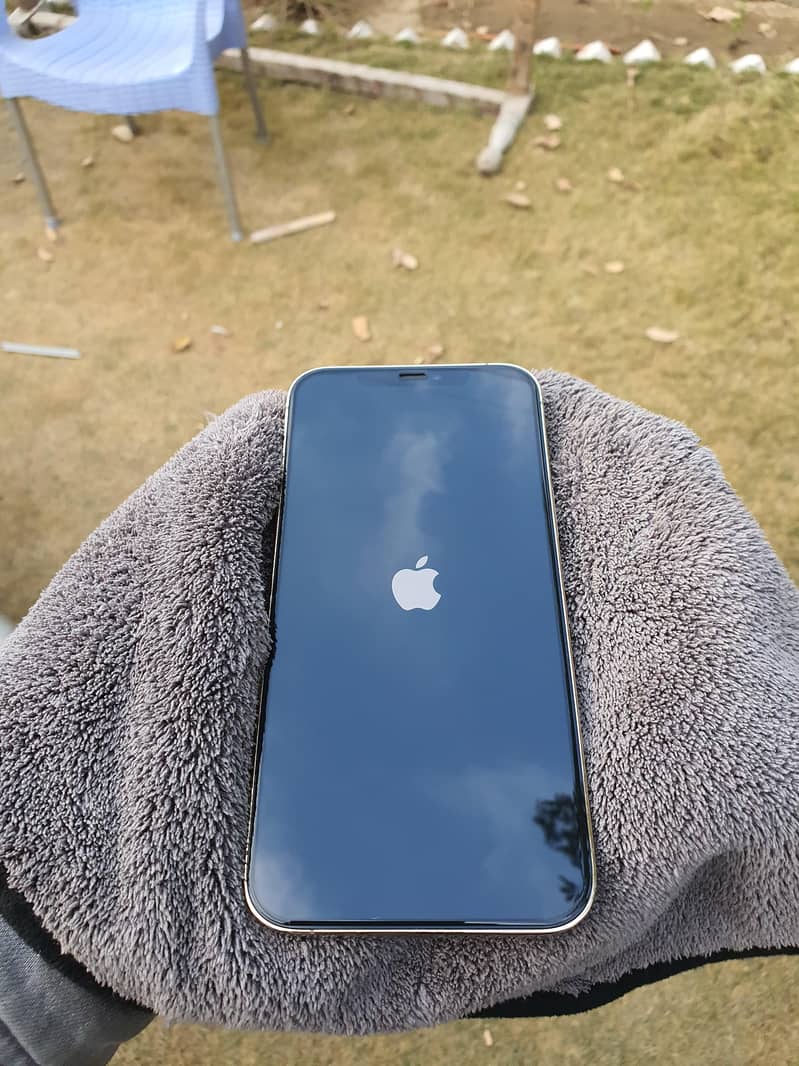 Apple iPhone 12 Pro Max 1