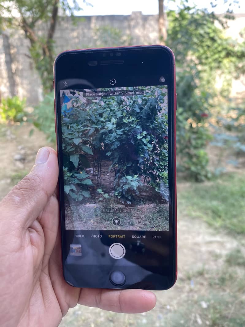 Apple iPhone 8 Plus 6