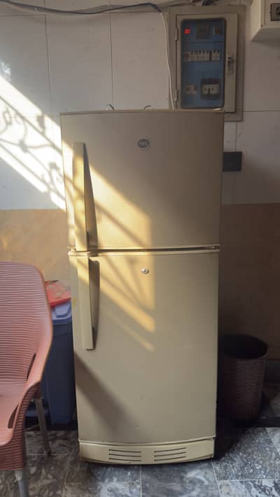 Pel fridge  10/10 working urgent sale