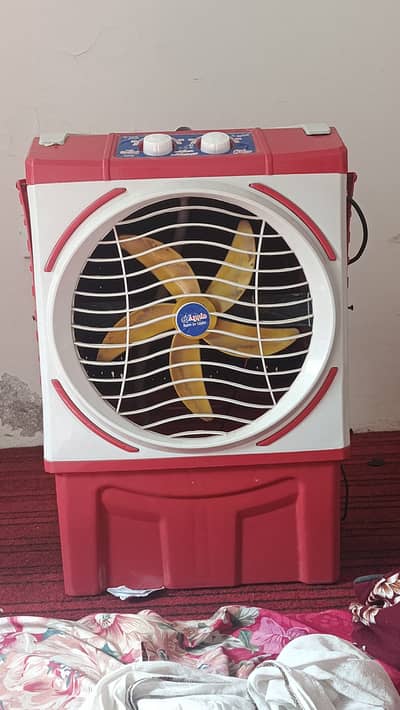 Air Cooler