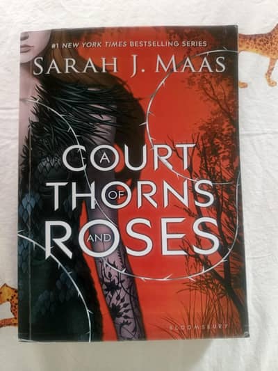 A Court of Thorns and Roses (Book 1) by Sarah J. Maas – Like New