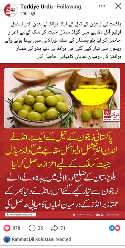 olive oil
