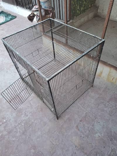 Birds Cage