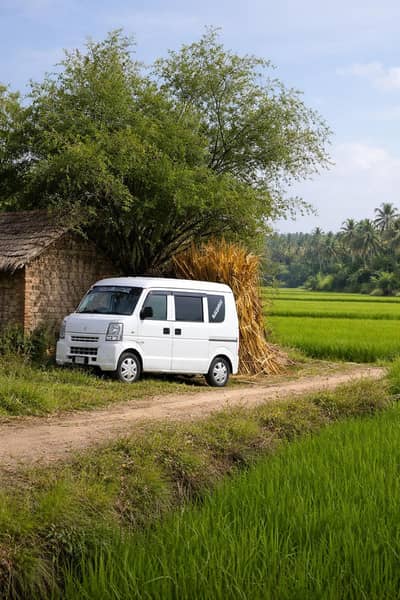 suzuki every
