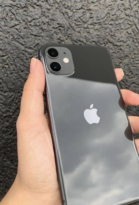 Apple iPhone 11 0