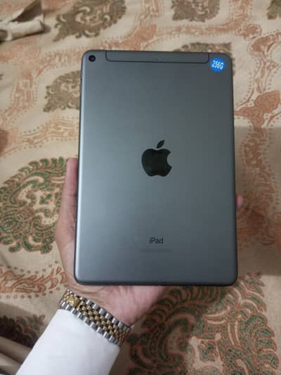 Ipad Mini 5 256GB sim working