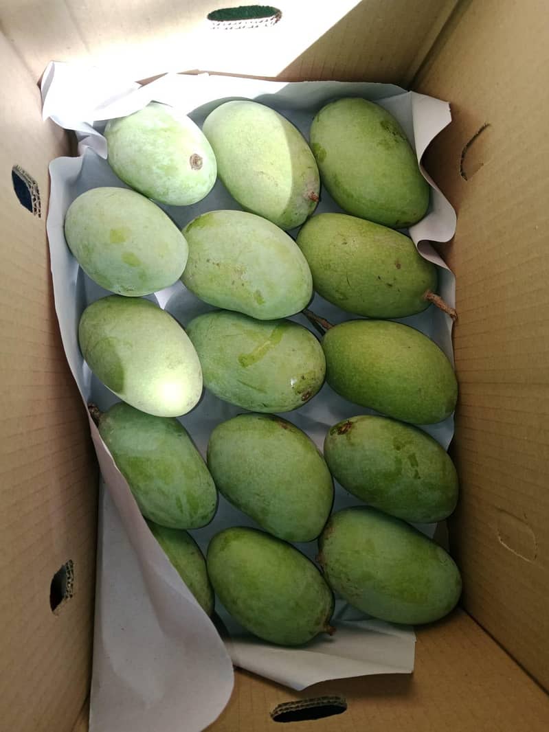 Mango  4