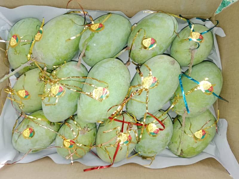 Mango  5