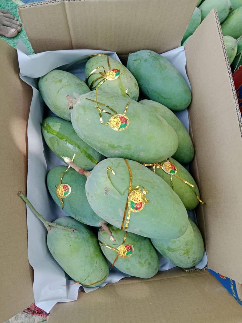 Mango  8