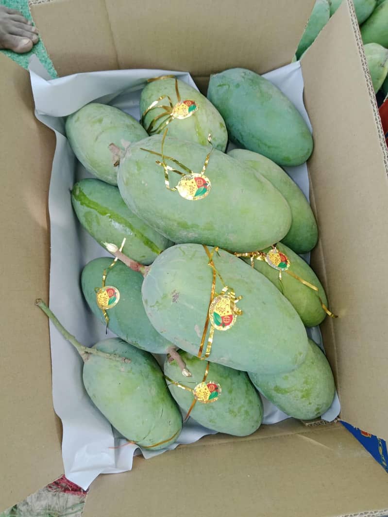 Mango  9