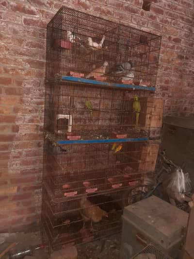cages 8 portion 1.5 by 1.5