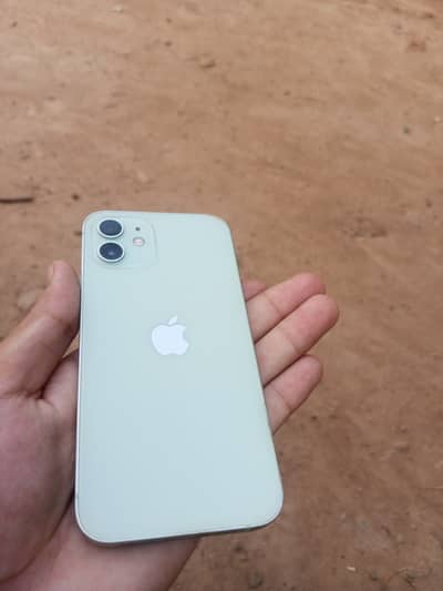 Apple iPhone 12