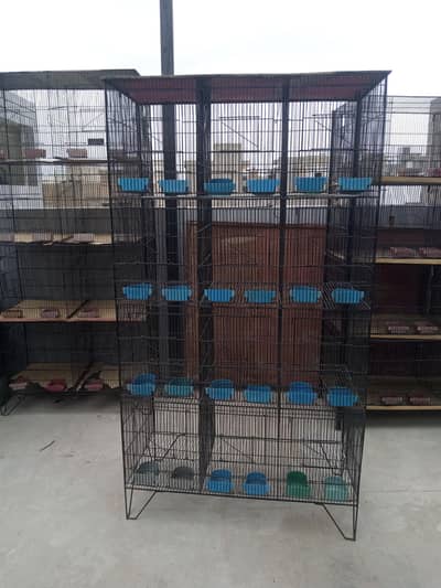 8 & 12 Portion Birds Cages | Cocktail | Love Birds | Budgies  | Finch