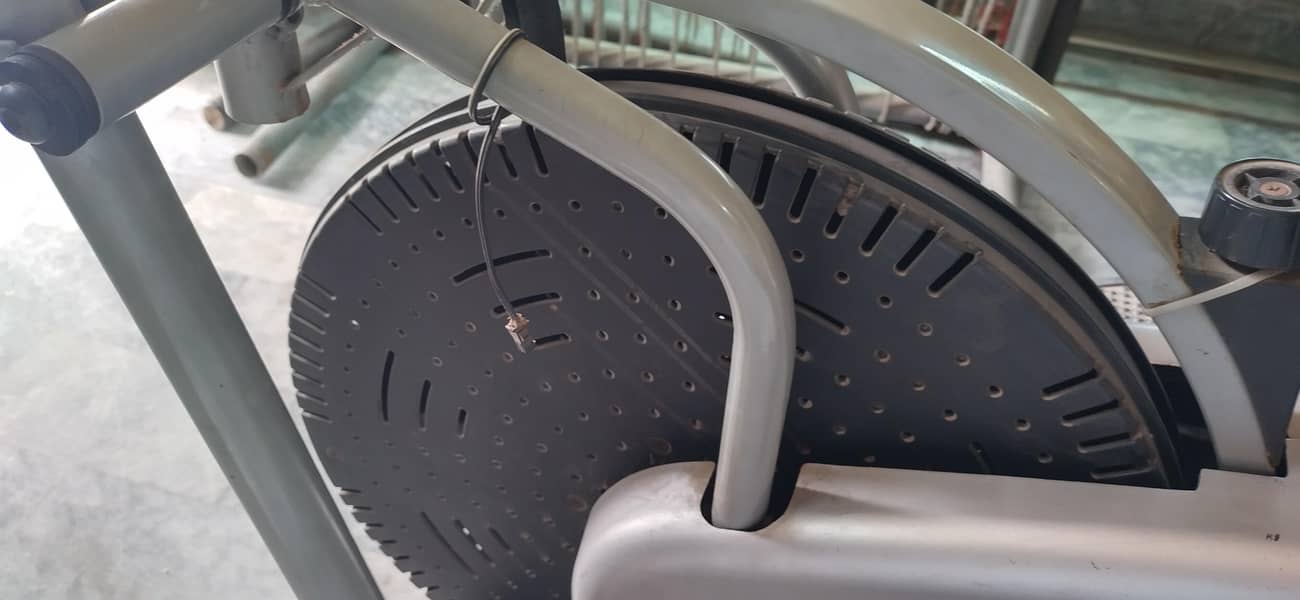 elliptical cycle 0