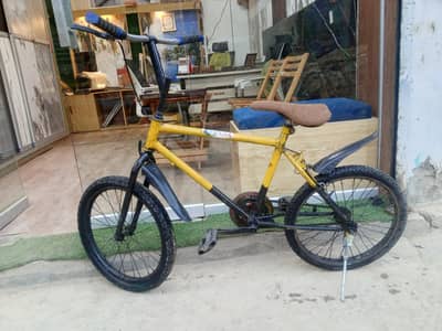 Phonix frame bycycle.     10 by 8.03217535589