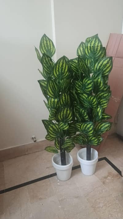 artificial plant
