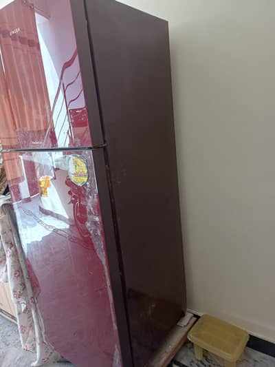 siger medum size frige