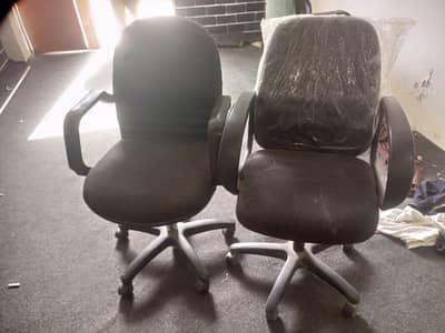 Imported Chairs