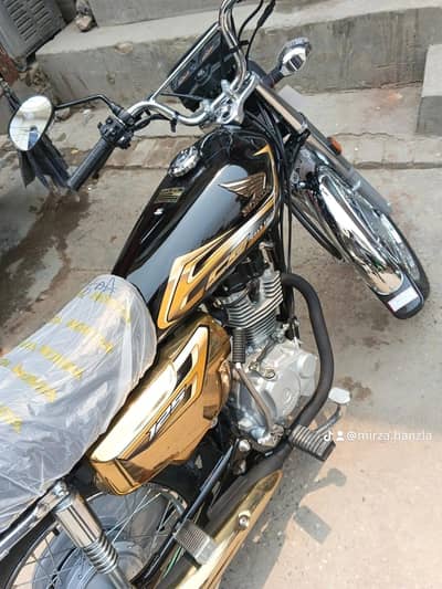 gold edition