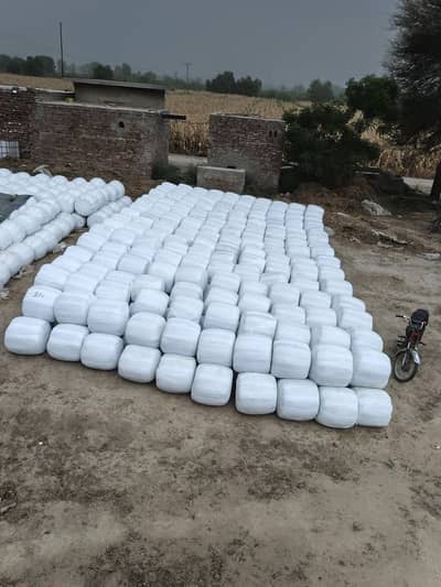 Fresh Corn Silage Available, 500+ bales 900/-fee mann, 03052745148