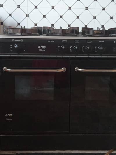 nasgas cooking range double door