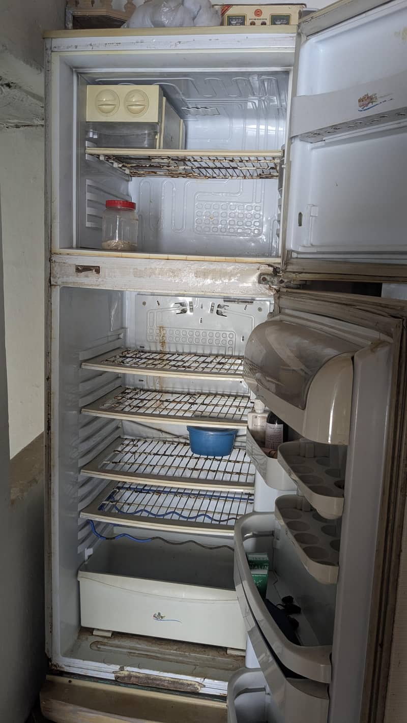 Fridge 1