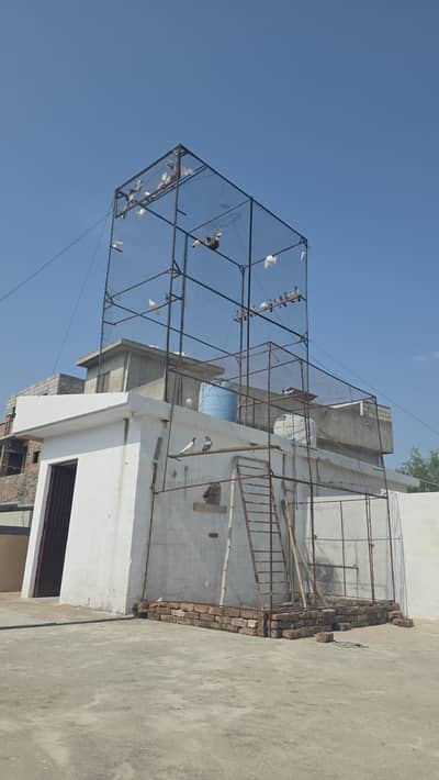 pora setup for sale