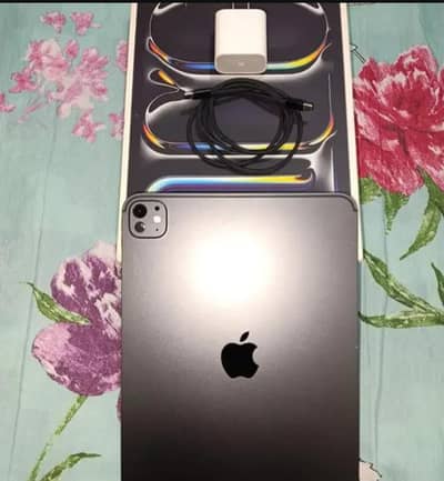 ipad pro 11-inch M4 256 GB