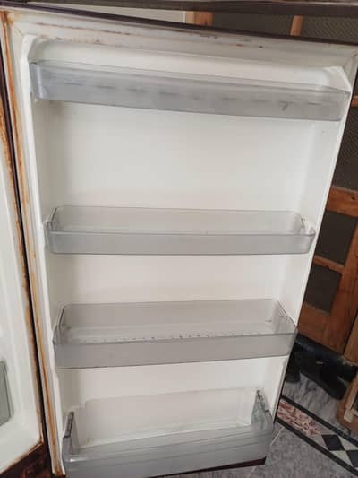 singer medum frige