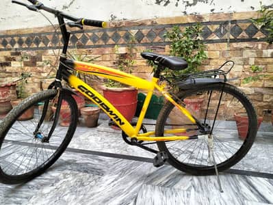 Coodmn Hit Cycle – Great Condition, Ready to Ride